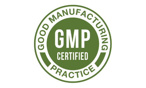 bitfit supplement GMP Certified